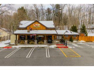 Property in Bloomingburg, NY 12721 thumbnail 2