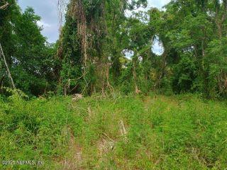 Property in Orange Park, FL thumbnail 1