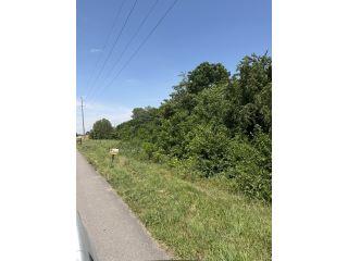 Property in Springfield, TN thumbnail 2