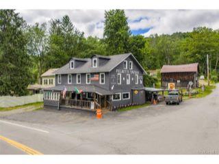 Property in Hankins, NY 12741 thumbnail 0