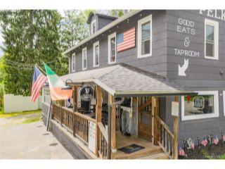 Property in Hankins, NY 12741 thumbnail 2