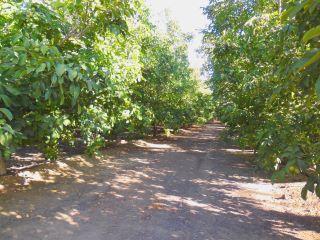 Property in Live Oak, CA thumbnail 2