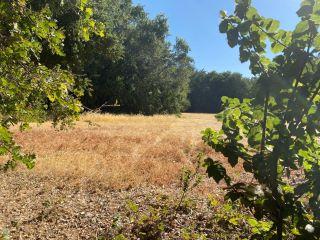 Property in Thornton, CA 95632 thumbnail 2