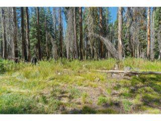 Property in South Lake Tahoe, CA 96155 thumbnail 1
