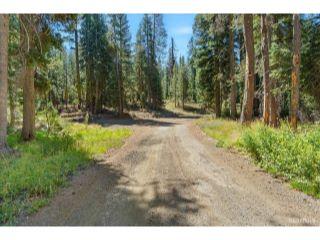 Property in South Lake Tahoe, CA 96155 thumbnail 2
