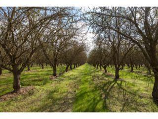 Property in Hughson, CA 95326 thumbnail 0