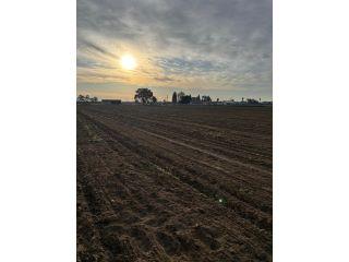 Property in Selma, CA thumbnail 1