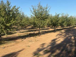 Property in Lincoln, CA 95648 thumbnail 0
