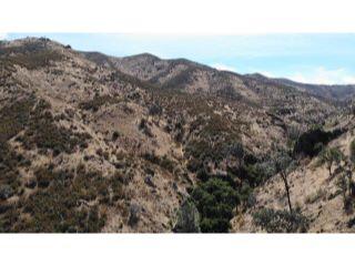 Property in Newman, CA 95360 thumbnail 0