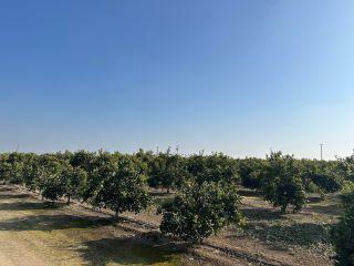 Property in Ducor, CA 93218 thumbnail 1