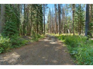 Property in South Lake Tahoe, CA 96155 thumbnail 0