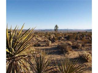 Property in Jt, CA 92252 thumbnail 0