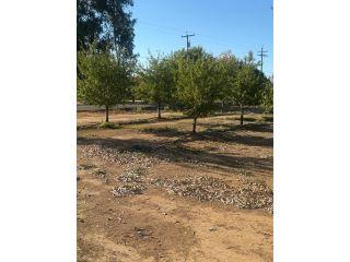 Property in Lincoln, CA 95648 thumbnail 2