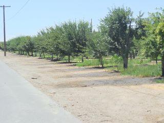 Property in Live Oak, CA 95953 thumbnail 2