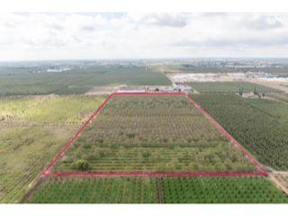 Property in Hughson, CA 95326 thumbnail 2