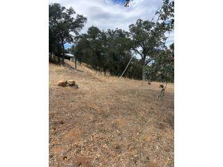 Property in Catheys Valley, CA thumbnail 4