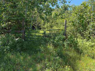 Property in Ontonagon, MI 49953 thumbnail 0