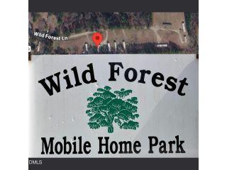 Property in Sanford, NC thumbnail 4