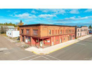 Property in Calumet, MI 49913 thumbnail 0