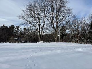 Property in Saugatuck, MI thumbnail 4