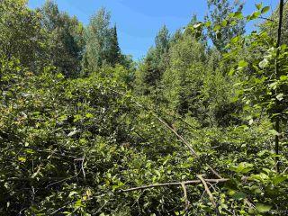 Property in Ontonagon, MI 49953 thumbnail 2