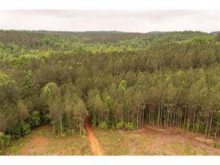 Property in Jasper, GA 30143 thumbnail 0