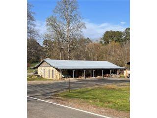 Property in Talking Rock, GA 30175 thumbnail 0