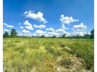 Property in Youngstown, FL 32466 thumbnail 1