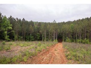 Property in Jasper, GA 30143 thumbnail 1