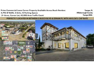 Property in Tampa, FL thumbnail 5