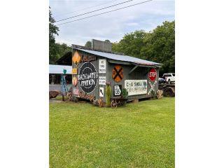 Property in Talking Rock, GA 30175 thumbnail 2
