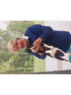 Rombye Perry of CENTURY 21 Legacy photo