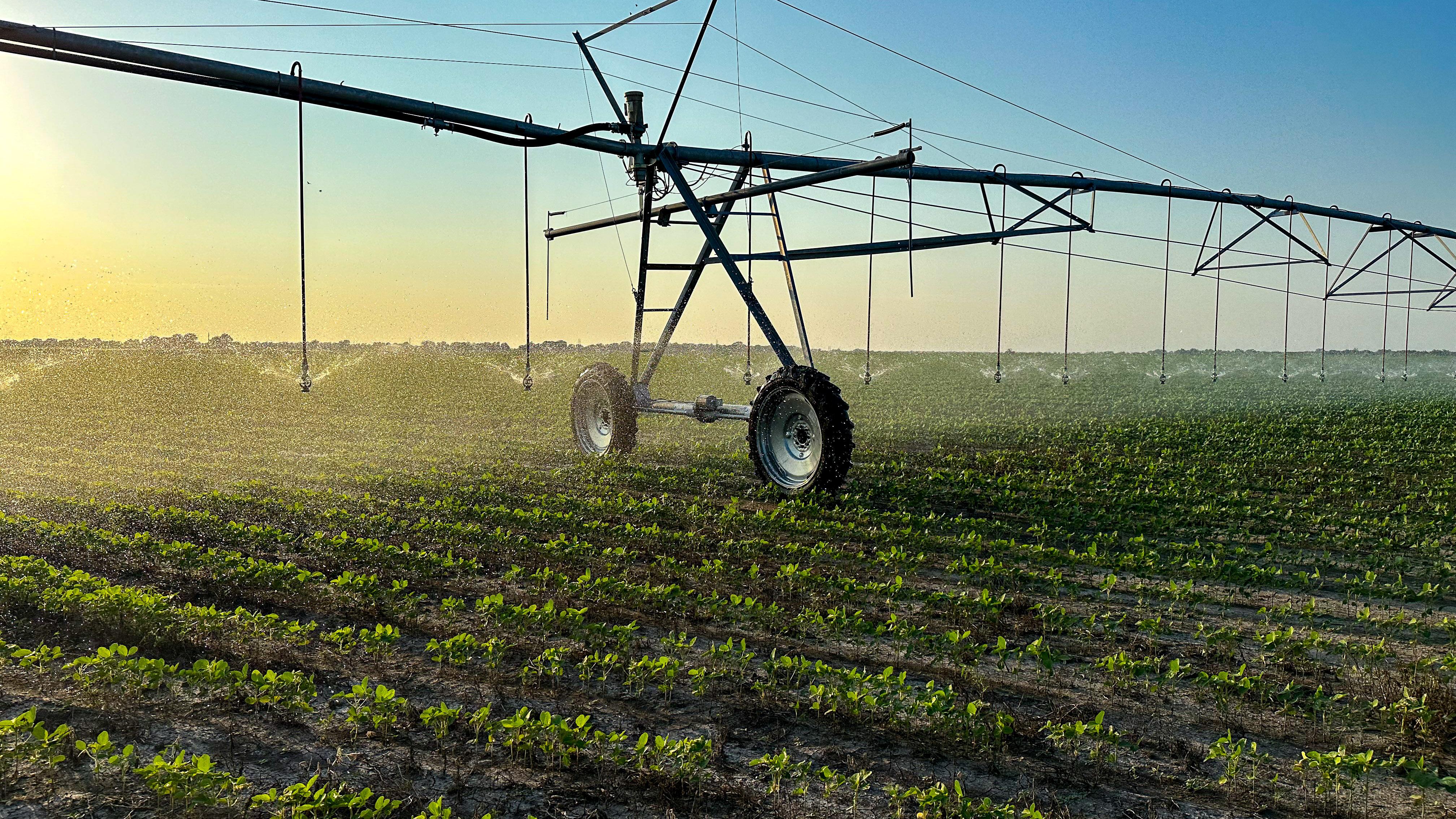 Property Image for 00 Cr 1370