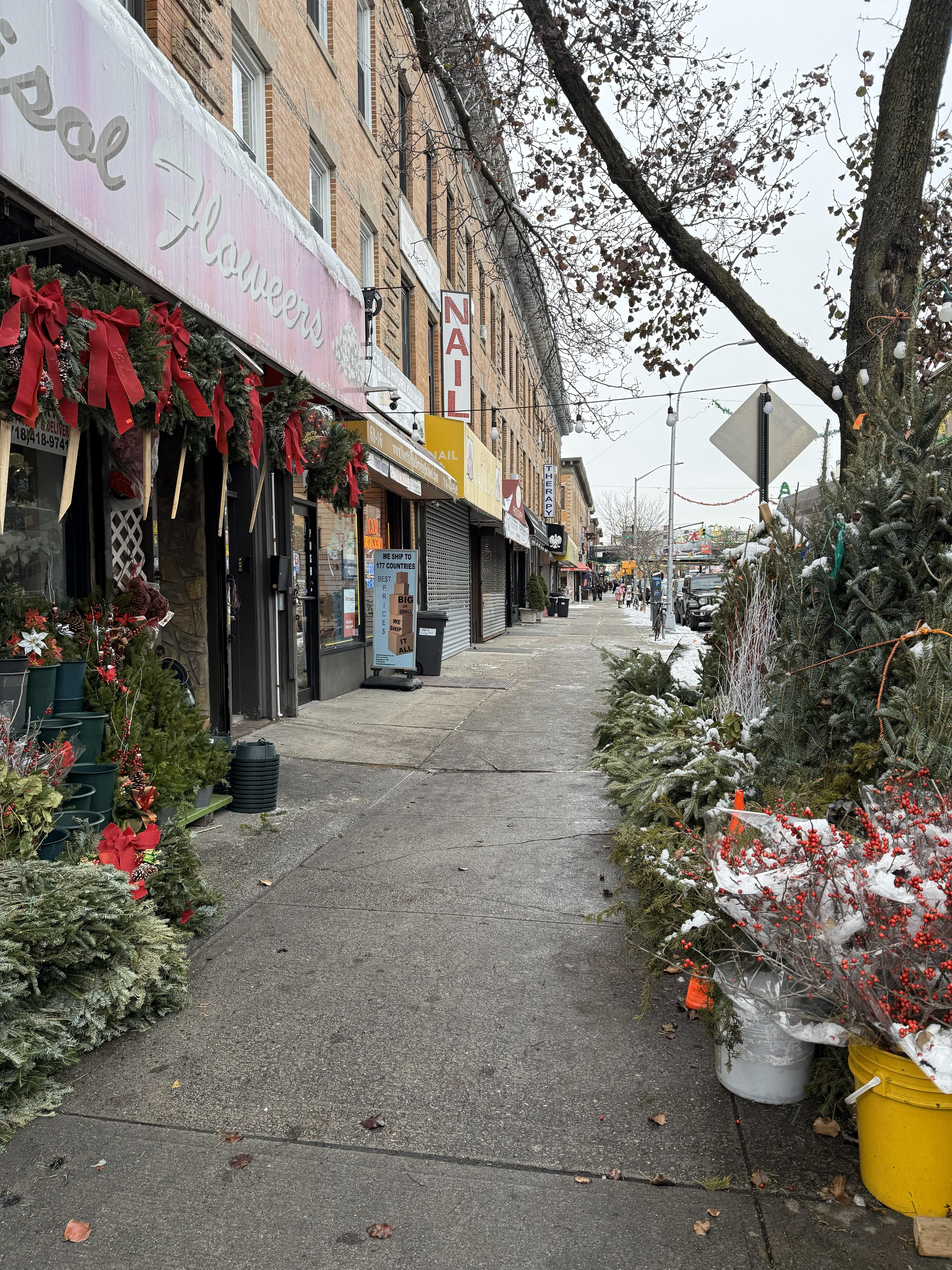 Property Image for 68-14 Fresh Pond Rd