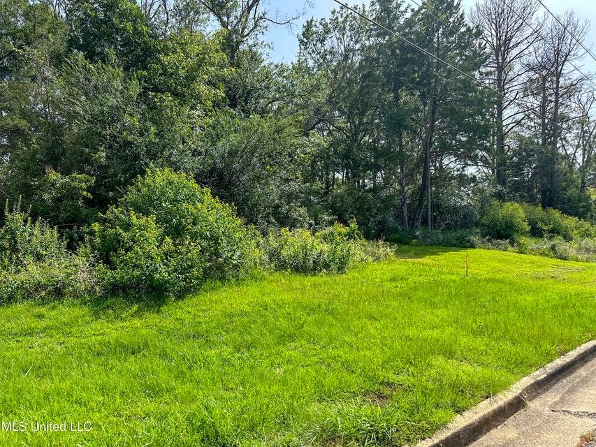 Property Image for 109 Woodchase Park Drive