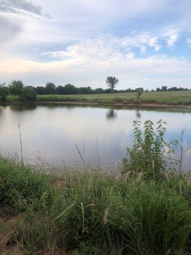 Property Image for Lot 4 Hummingbird