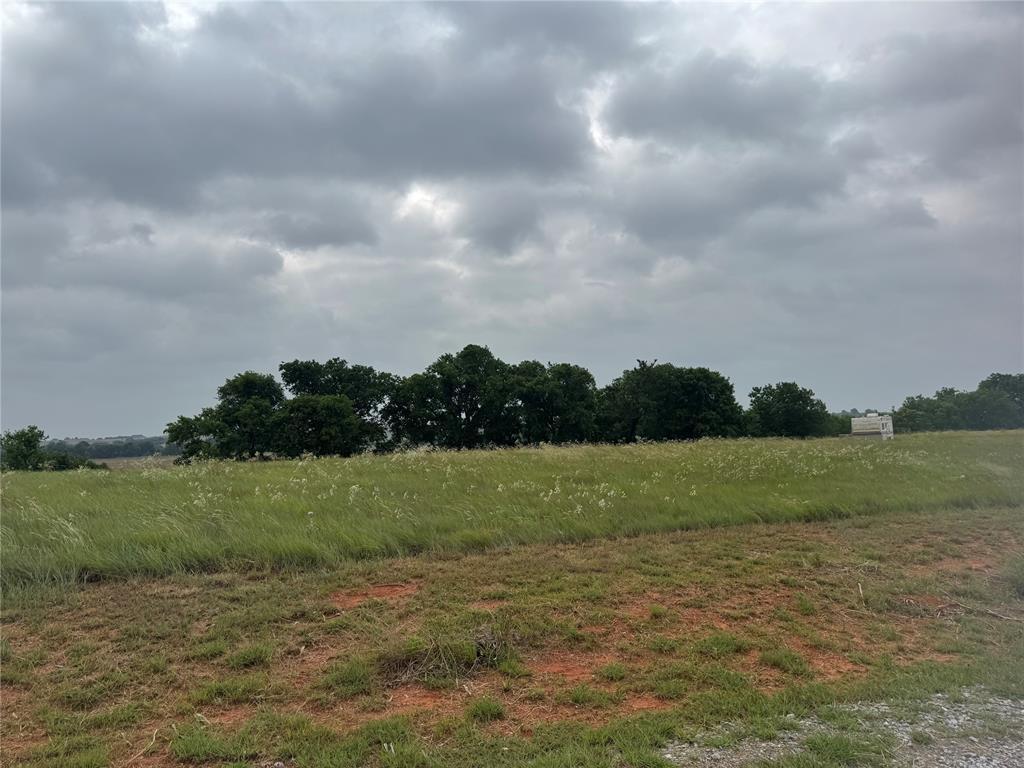 Property Image for 1446 County Road 1344