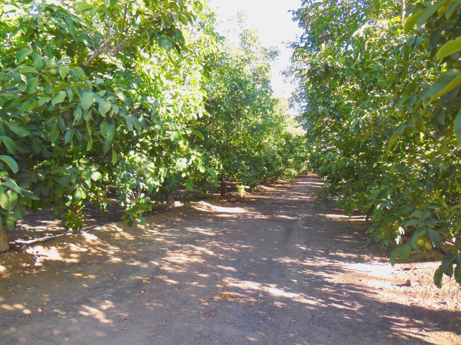 Property Image for Clark Road
