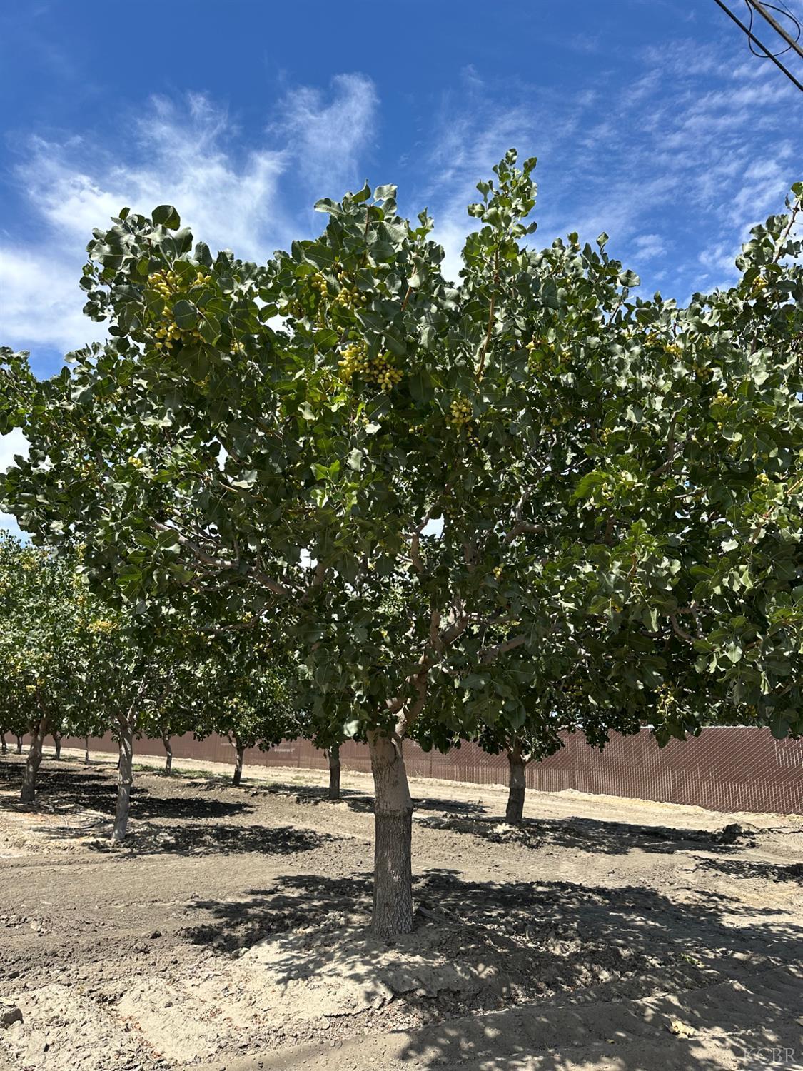 Property Image for Lansing Avenue