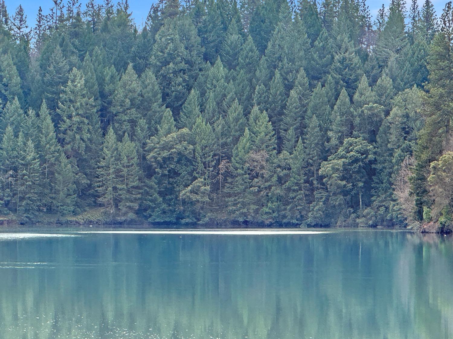 Property Image for 17871 Rollins View Drive