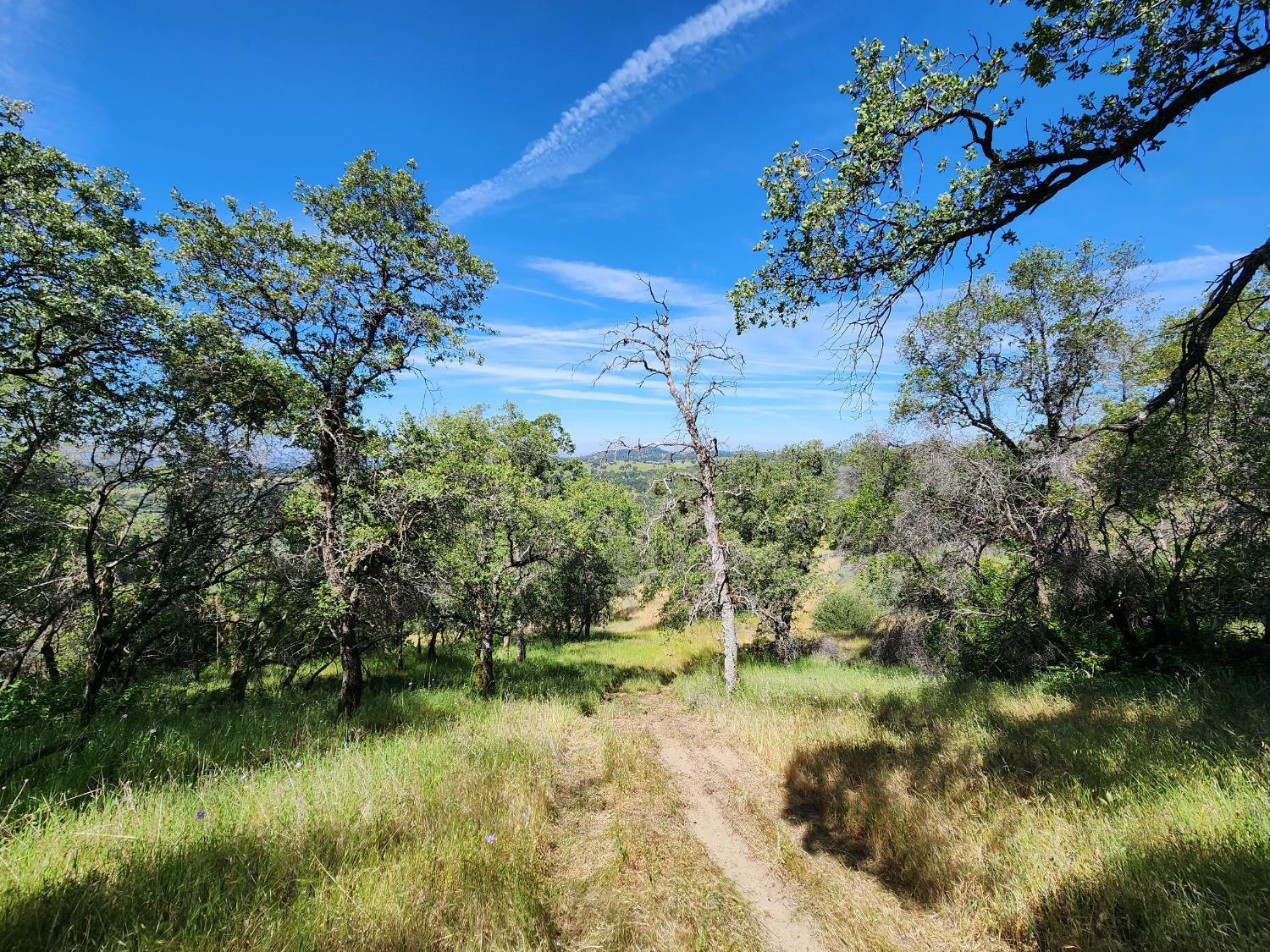 Property Image for 16241 Beyers