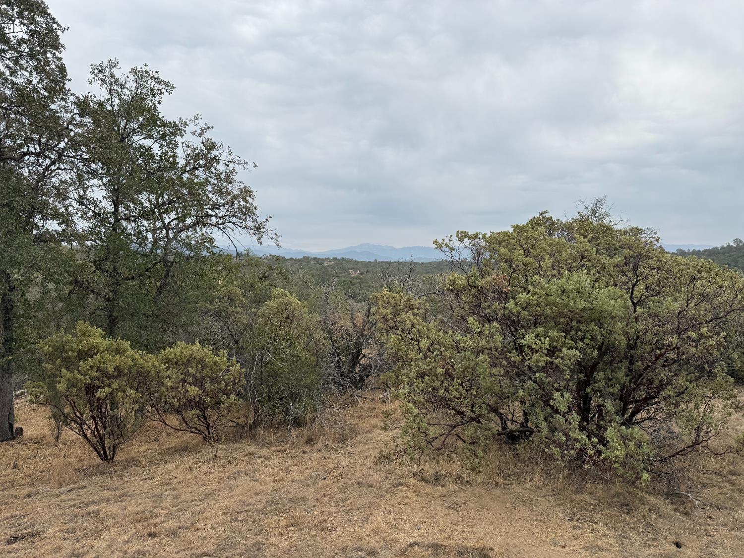 Property Image for Flying O Ranch Rd.