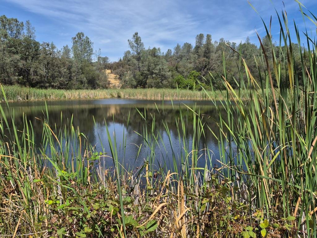 Property Image for 16791 Harmony Hills Way