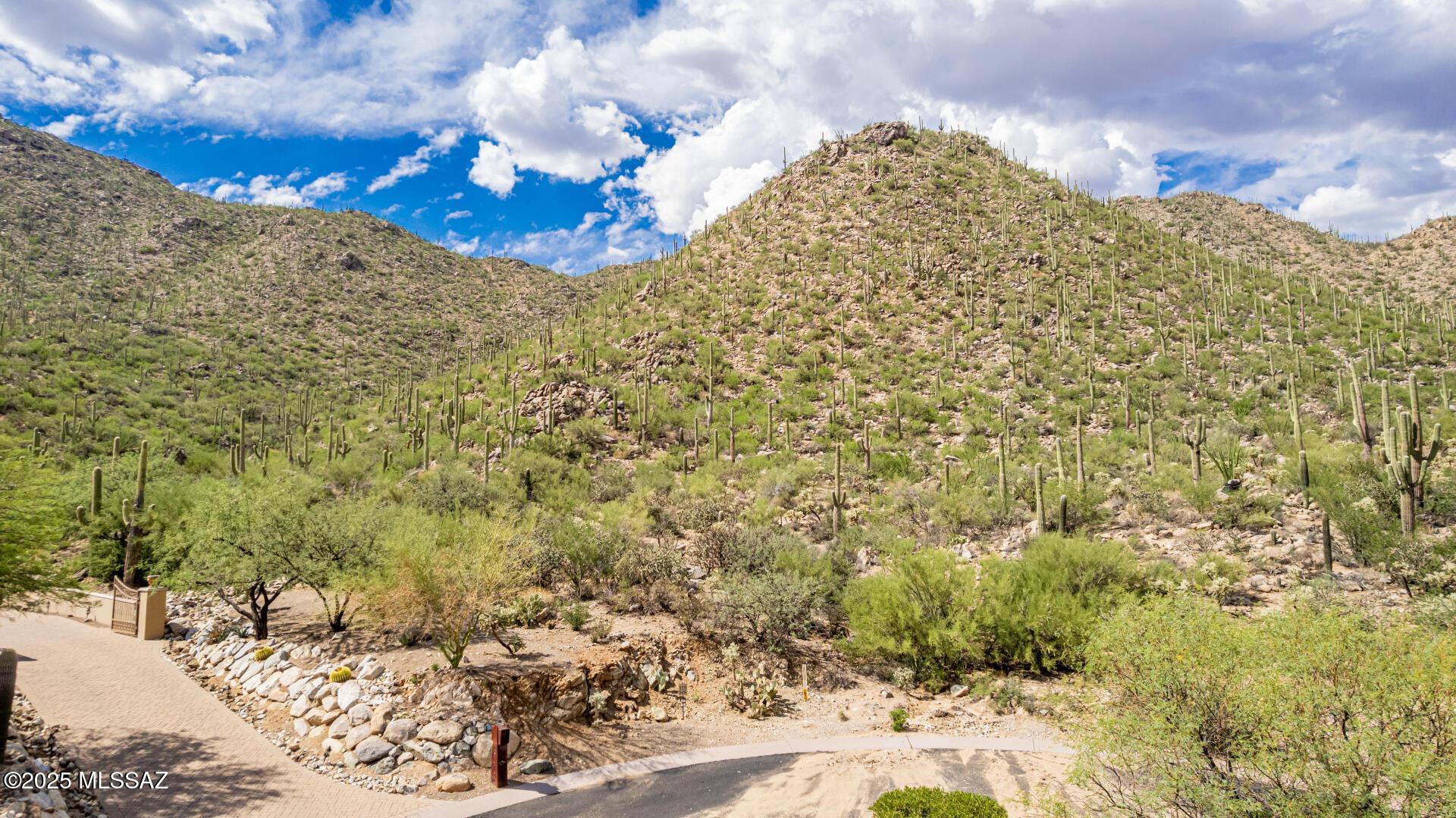 Property Image for 15285 N Silent Vista Court 132