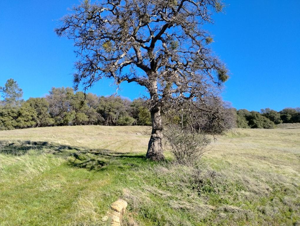 Property Image for 24075 Clayton Road