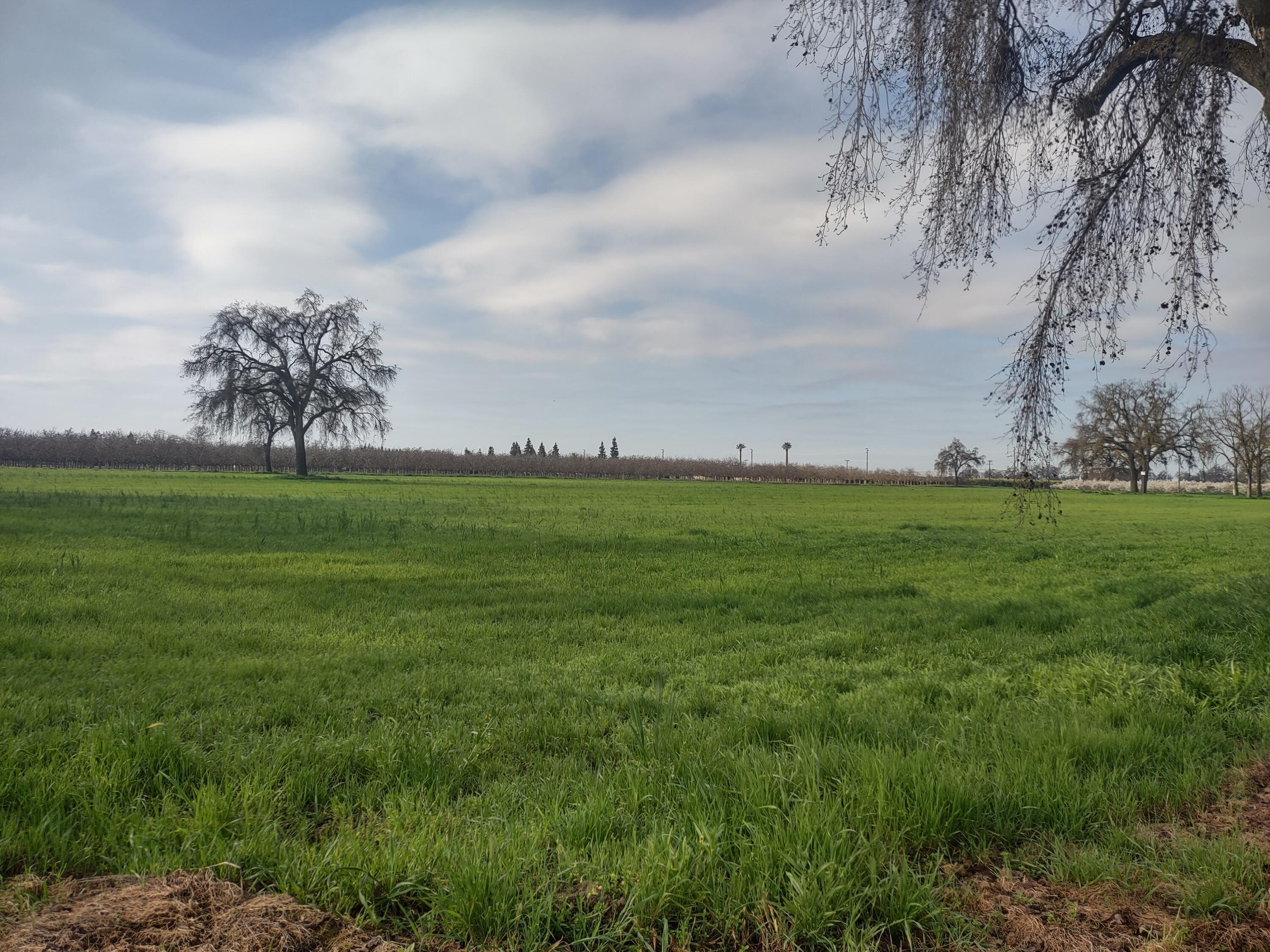 Property Image for Lovers Lane