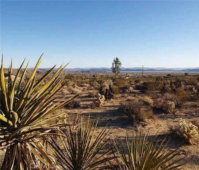 Property Image for 7275 Saddleback