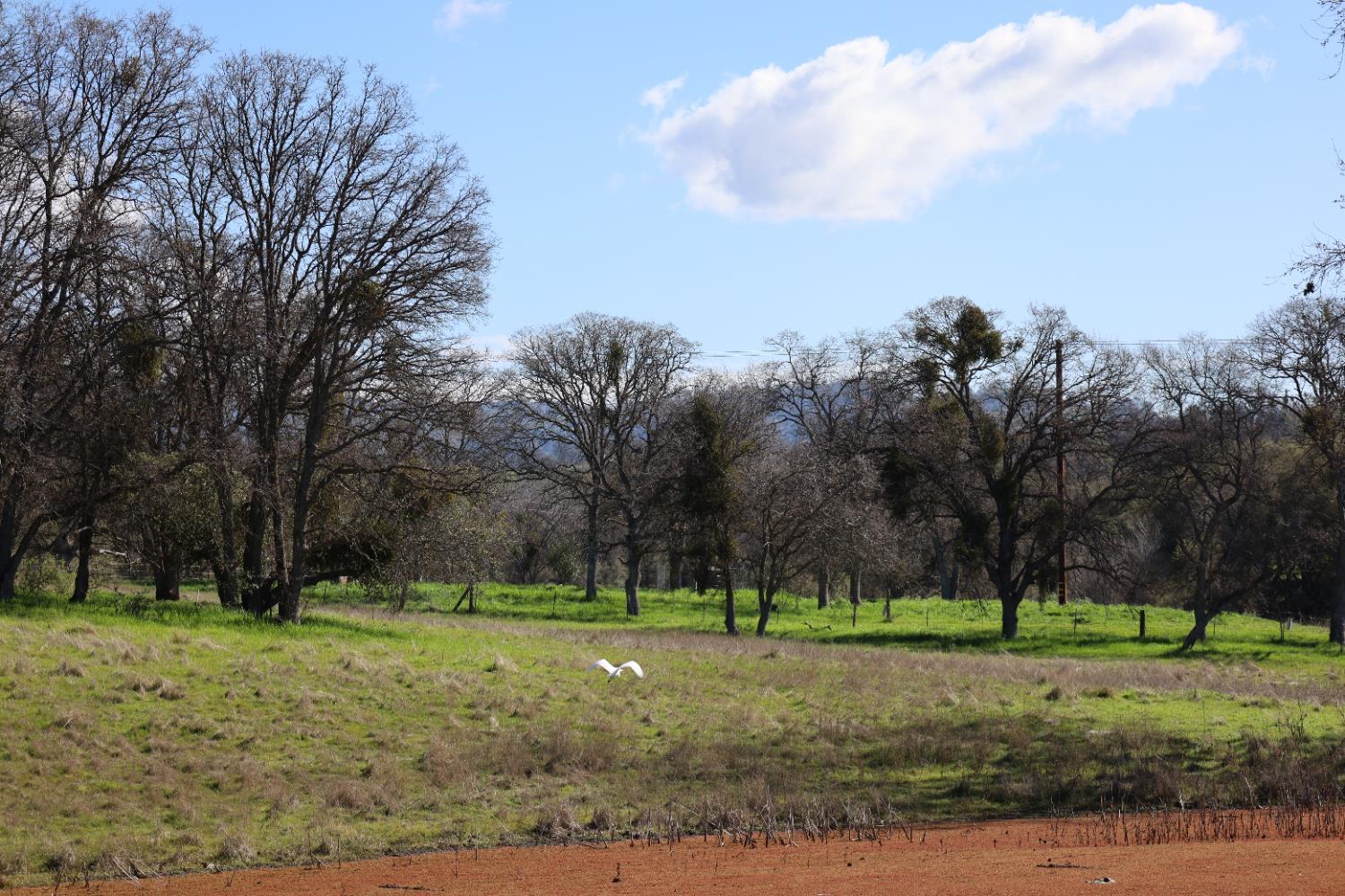 Property Image for 10 Douglas Road S