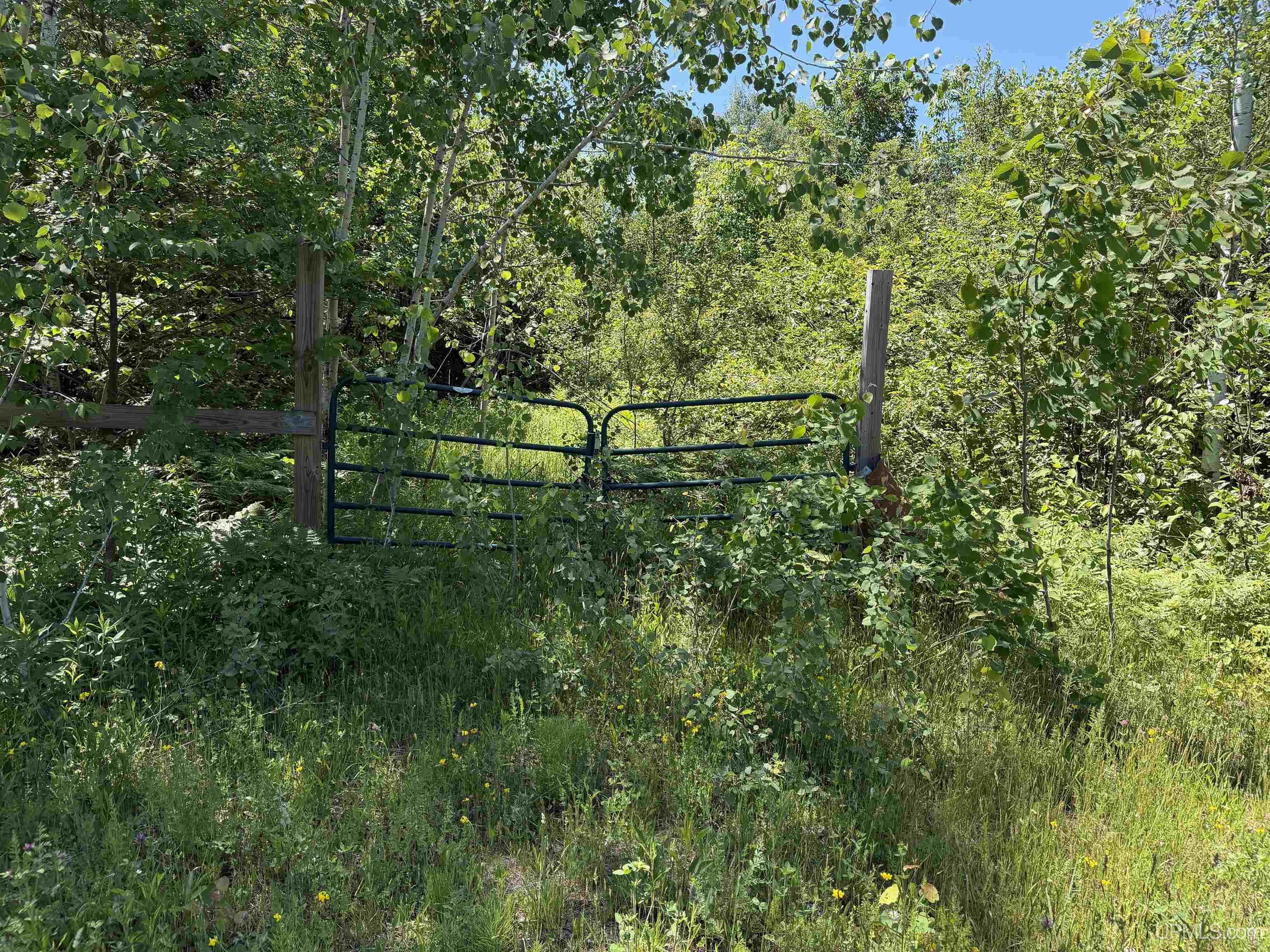 Property Image for TBD Woodspur