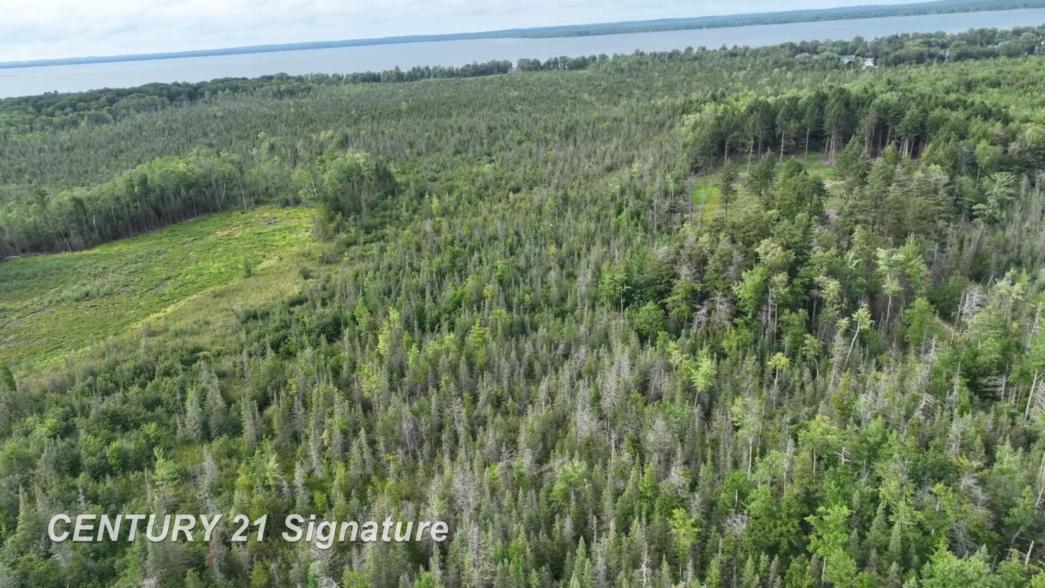 Property Image for VL W Houghton Lake